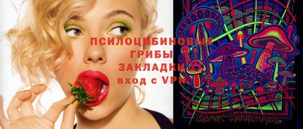 бутират Няндома