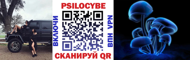 где можно купить наркотик  Черногорск  маркетплейс официальный сайт  Галлюциногенные грибы ЛСД 