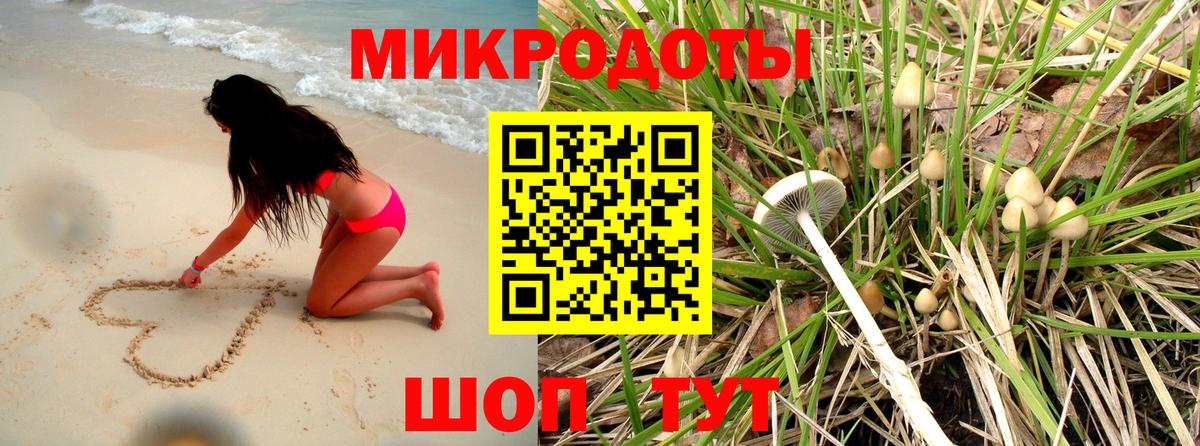 Галлюциногенные грибы Cubensis Черногорск